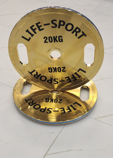 Life Sport Pro Bronze Coating Change Plate 20 kg